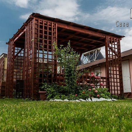 Casa Ana Maria Vila Vama Veche Exterior foto