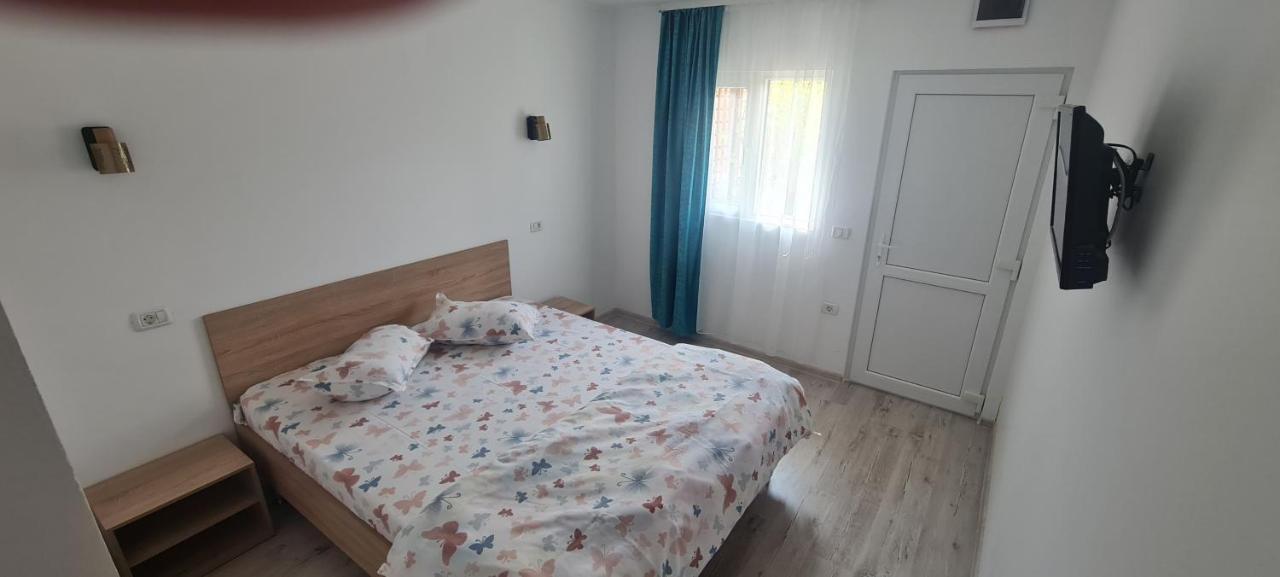Casa Ana Maria Vila Vama Veche Exterior foto