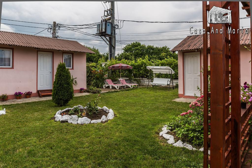 Casa Ana Maria Vila Vama Veche Exterior foto
