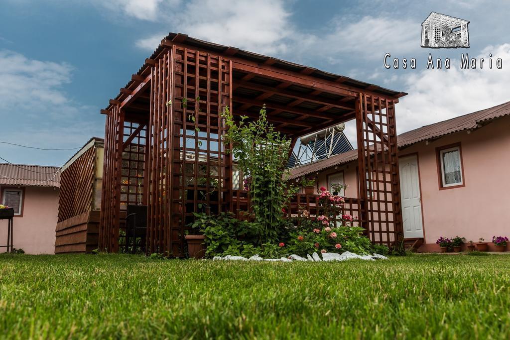 Casa Ana Maria Vila Vama Veche Exterior foto