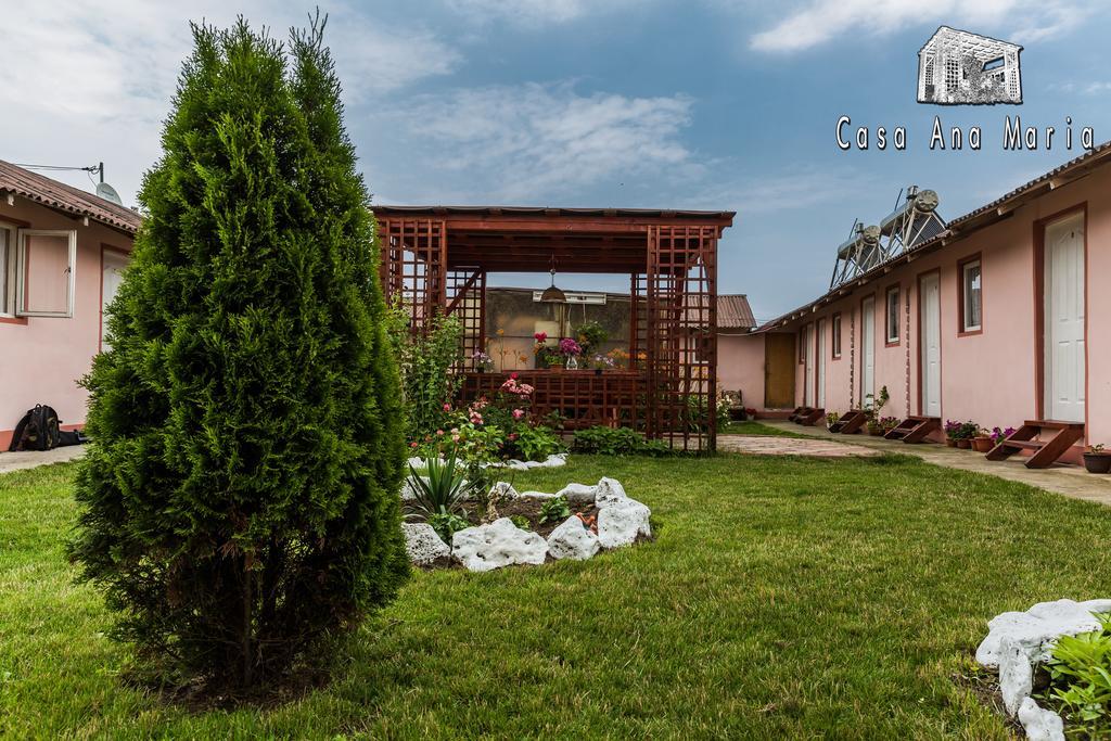 Casa Ana Maria Vila Vama Veche Exterior foto