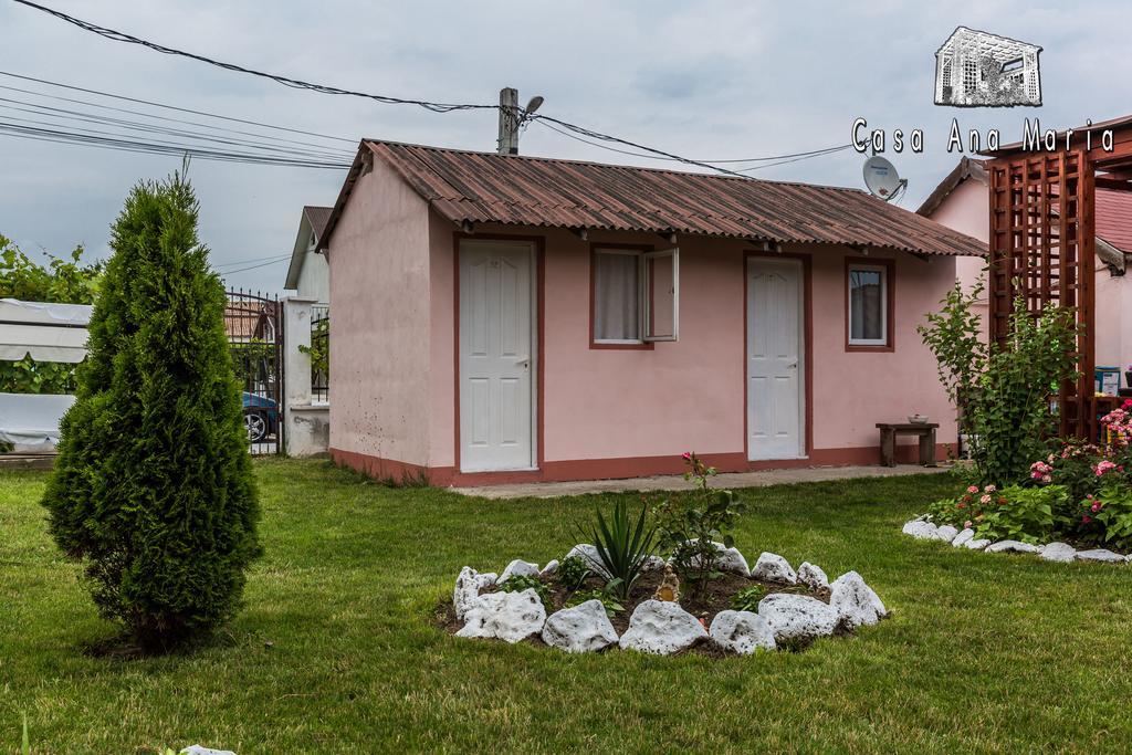 Casa Ana Maria Vila Vama Veche Exterior foto