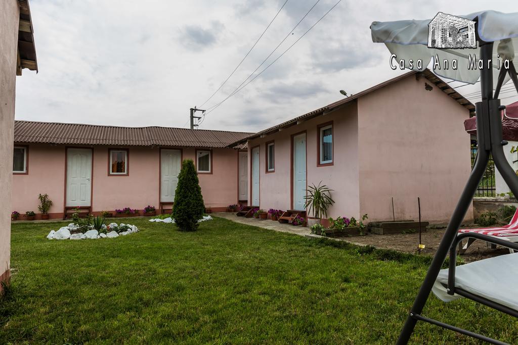 Casa Ana Maria Vila Vama Veche Exterior foto