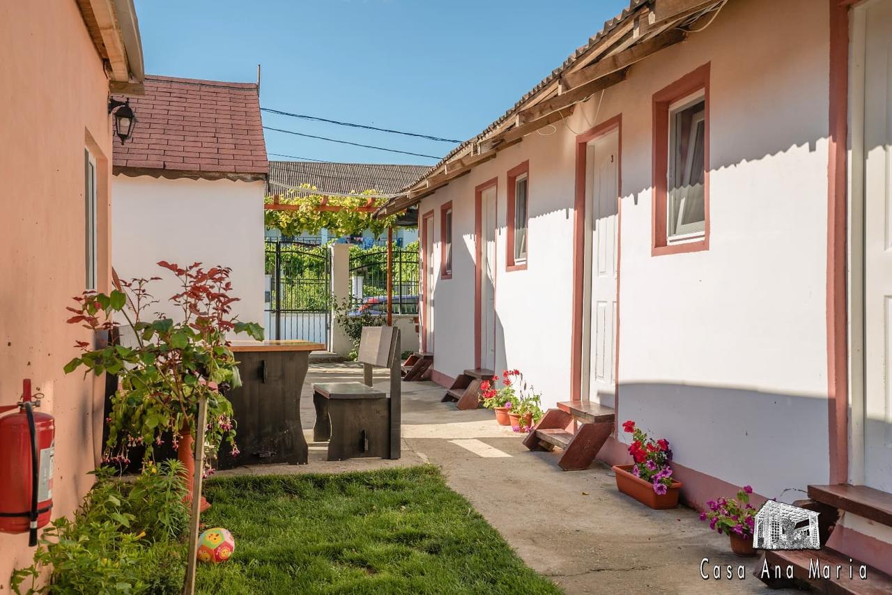 Casa Ana Maria Vila Vama Veche Exterior foto