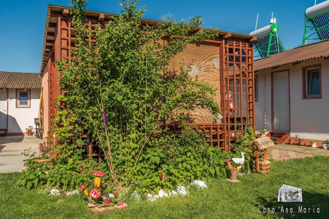 Casa Ana Maria Vila Vama Veche Exterior foto