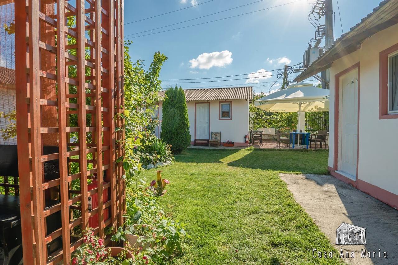 Casa Ana Maria Vila Vama Veche Exterior foto