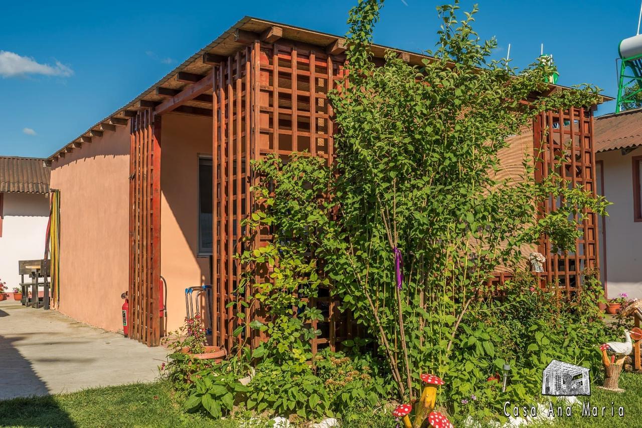 Casa Ana Maria Vila Vama Veche Exterior foto