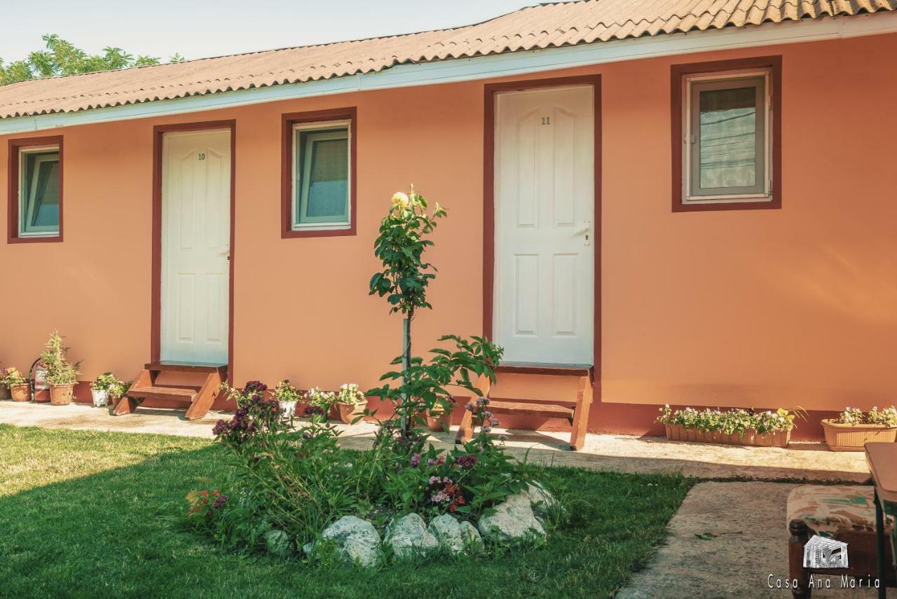 Casa Ana Maria Vila Vama Veche Exterior foto