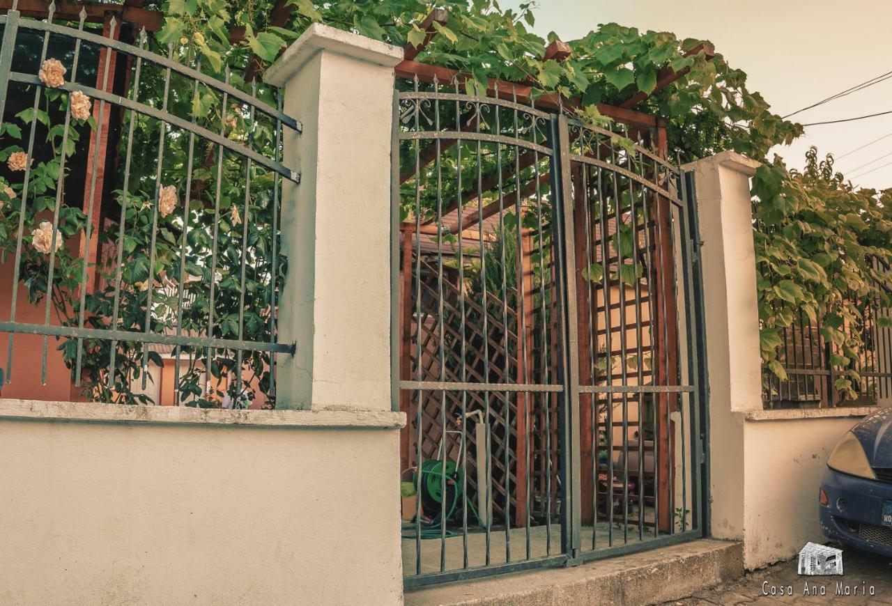 Casa Ana Maria Vila Vama Veche Exterior foto